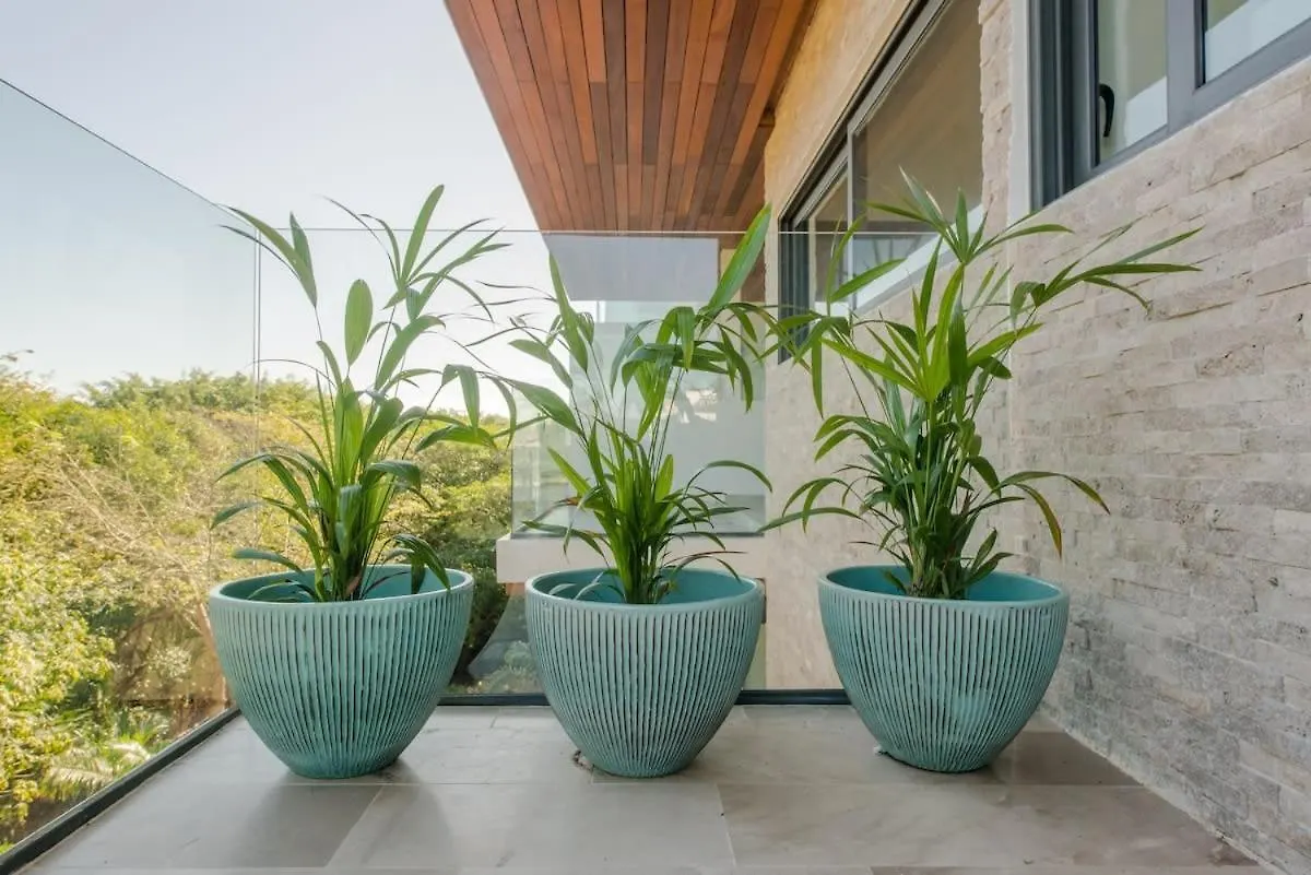 Condos With Private Jacuzzi And Shared Ocean View Roof Pool Playa del Carmen